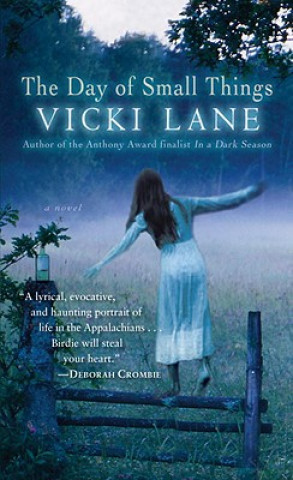 Book The Day of Small Things Vicki Lane