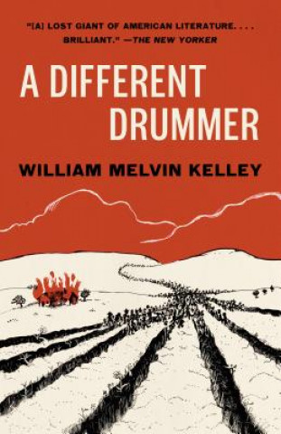 Könyv Different Drummer William Melvin Kelley