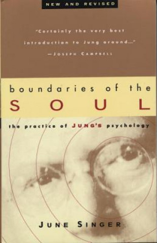Книга Boundaries of the Soul June Singer