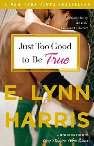 Kniha Just Too Good to Be True E. Lynn Harris