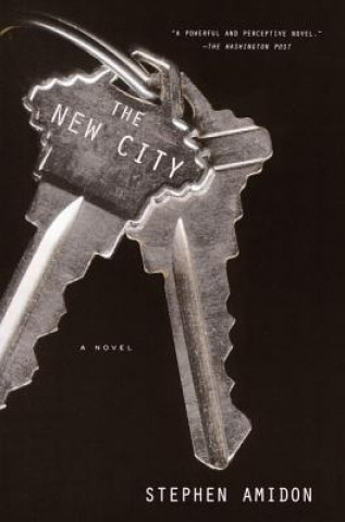 Kniha The New City Stephen Amidon