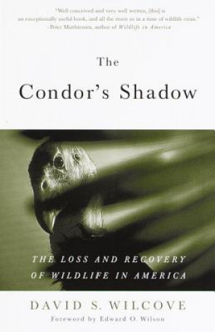 Carte The Condor's Shadow: The Loss and Recovery of Wildlife in America David S. Wilcove