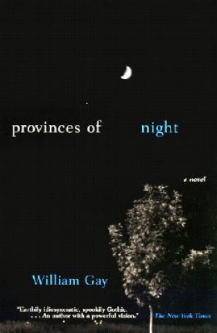 Kniha Provinces of Night William Gay