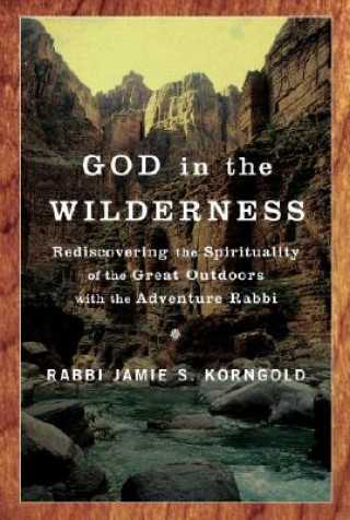 Kniha God in the Wilderness Jamie S. Korngold