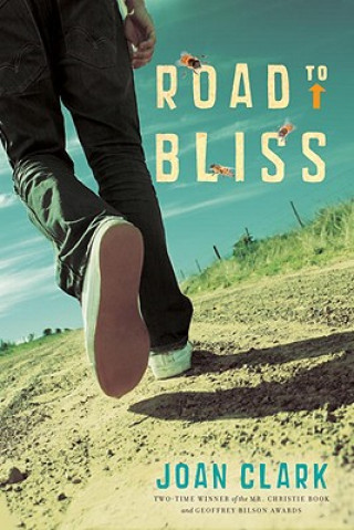 Könyv Road to Bliss Joan Clark