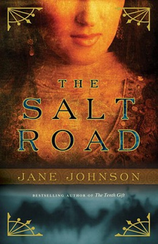 Kniha The Salt Road Jane Johnson