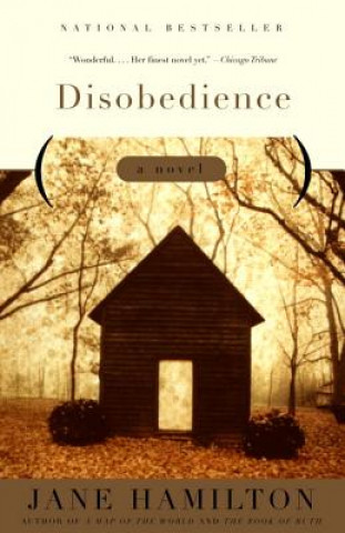 Knjiga Disobedience Jane Hamilton