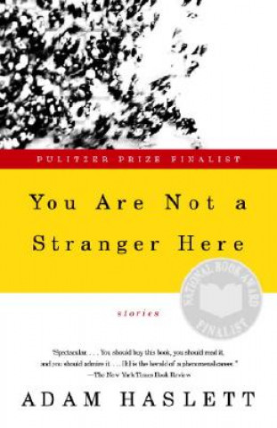 Книга You Are Not a Stranger Here Adam Haslett