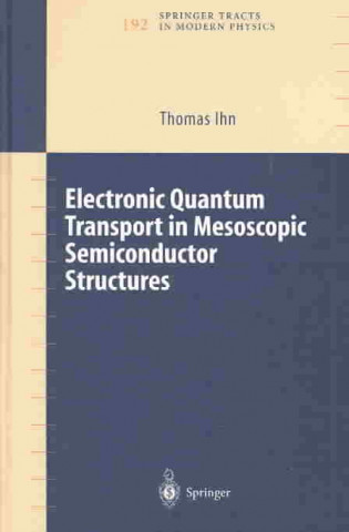 Kniha Electronic Quantum Transport in Mesoscopic Semiconductor Structures Thomas Ihn