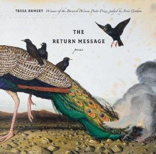 Book The Return Message: Poems Tessa Rumsey