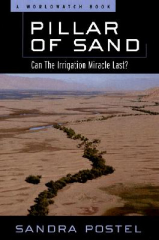 Kniha Pillar of Sand Sandra Postel