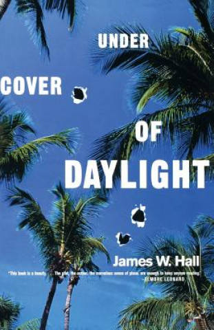 Könyv Under Cover of Daylight James W. Hall