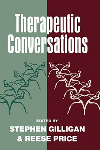 Knjiga Therapeutic Conversations Stephen G. Gilligan