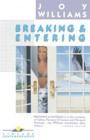 Book Breaking and Entering Joy Williams