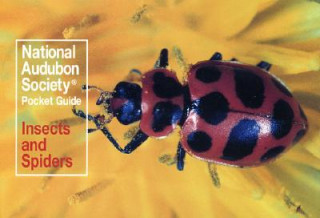 Carte National Audubon Society Pocket Guide: Insects and Spiders Audubon Society