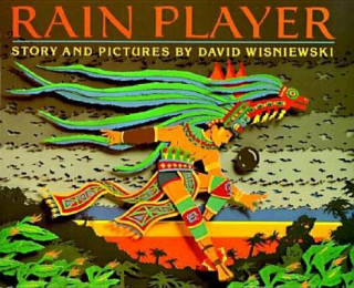 Buch Rain Player David Wisniewski