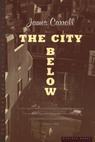 Buch The City Below James Carroll