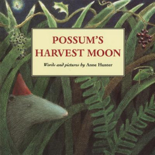 Kniha Possum's Harvest Moon Anne Hunter