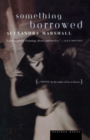 Knjiga Something Borrowed Alexandra Marshall