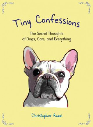 Kniha Tiny Confessions Christopher Rozzi