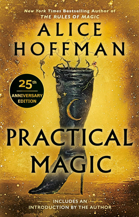 Buch Practical Magic Alice Hoffman