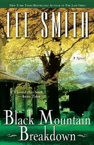 Kniha Black Mountain Breakdown Lee Smith