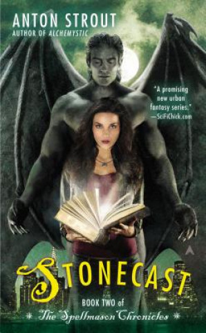 Knjiga Stonecast Anton Strout
