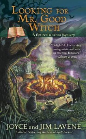 Kniha Looking for Mr. Good Witch Joyce Lavene