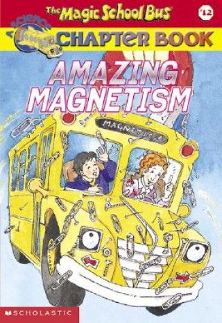 Knjiga Amazing Magnetism Rebecca Carmi