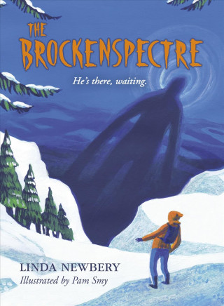 Buch Brockenspectre Linda Newbery