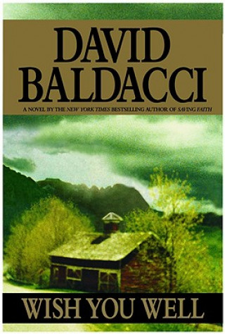 Knjiga Wish You Well David Baldacci