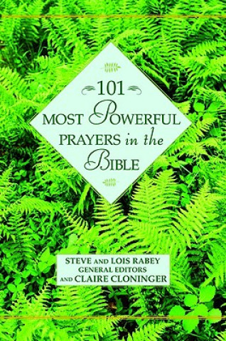 Könyv 101 Most Powerful Prayers in the Bible Steve Rabey