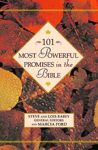 Kniha 101 Most Powerful Promises in the Bible Steve Rabey
