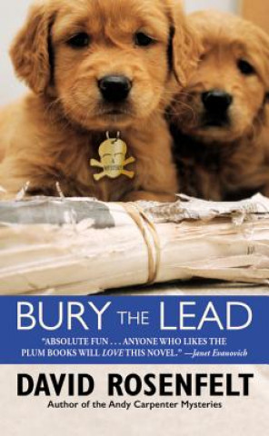 Kniha Bury the Lead David Rosenfelt