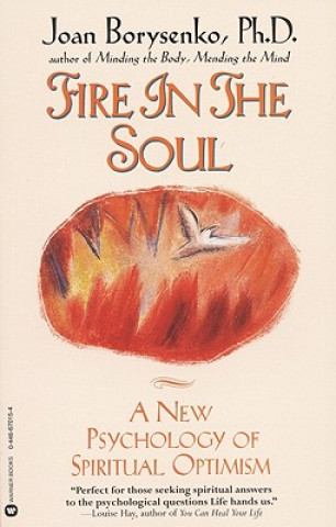 Kniha Fire In The Soul Joan Borysenko