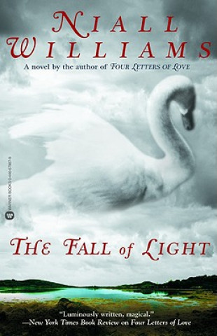 Könyv The Fall of Light Niall Williams