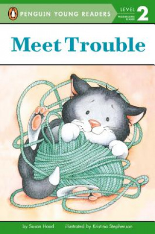 Kniha Meet Trouble Susan Hood