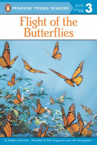 Βιβλίο Flight of the Butterflies Roberta Edwards