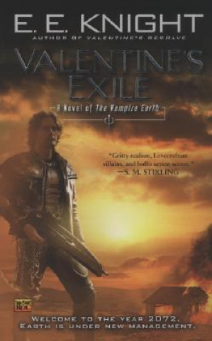 Kniha Valentine's Exile E. E. Knight