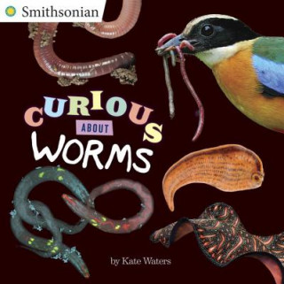 Könyv Curious about Worms Kate Waters