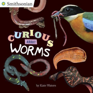 Книга Curious about Worms Kate Waters