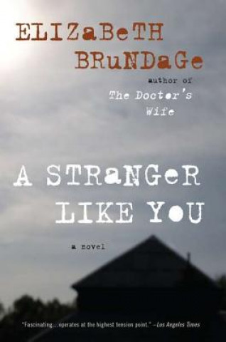 Carte A Stranger Like You Elizabeth Brundage