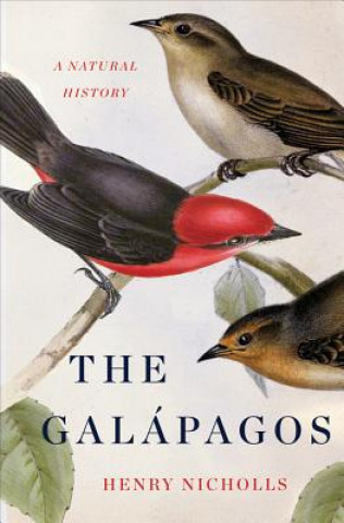 Könyv Galapagos Henry Nicholls
