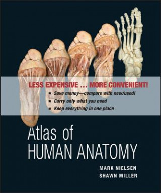 Kniha Atlas of Human Anatomy Mark Nielsen