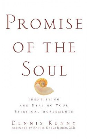 Kniha Promise of the Soul: Identifying and Healing Your Spiritual Agreements Dennis Kenny