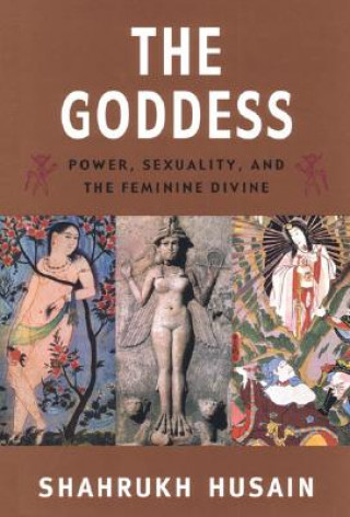 Kniha The Goddess: Power, Sexuality, and the Feminine Divine Shahrukh Husain