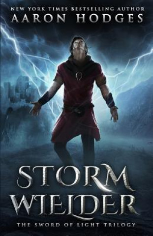 Kniha Stormwielder Aaron D. Hodges