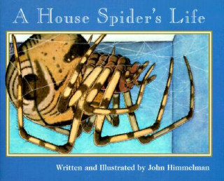 Carte House Spider's Life (Nature Upclose) John Himmelman