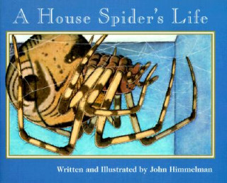 Könyv House Spider's Life (Nature Upclose) John Himmelman