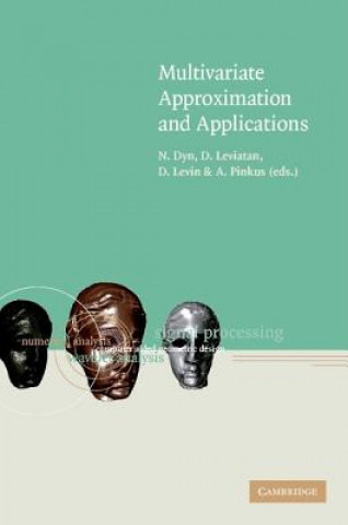 Książka Multivariate Approximation and Applications N. Dyn